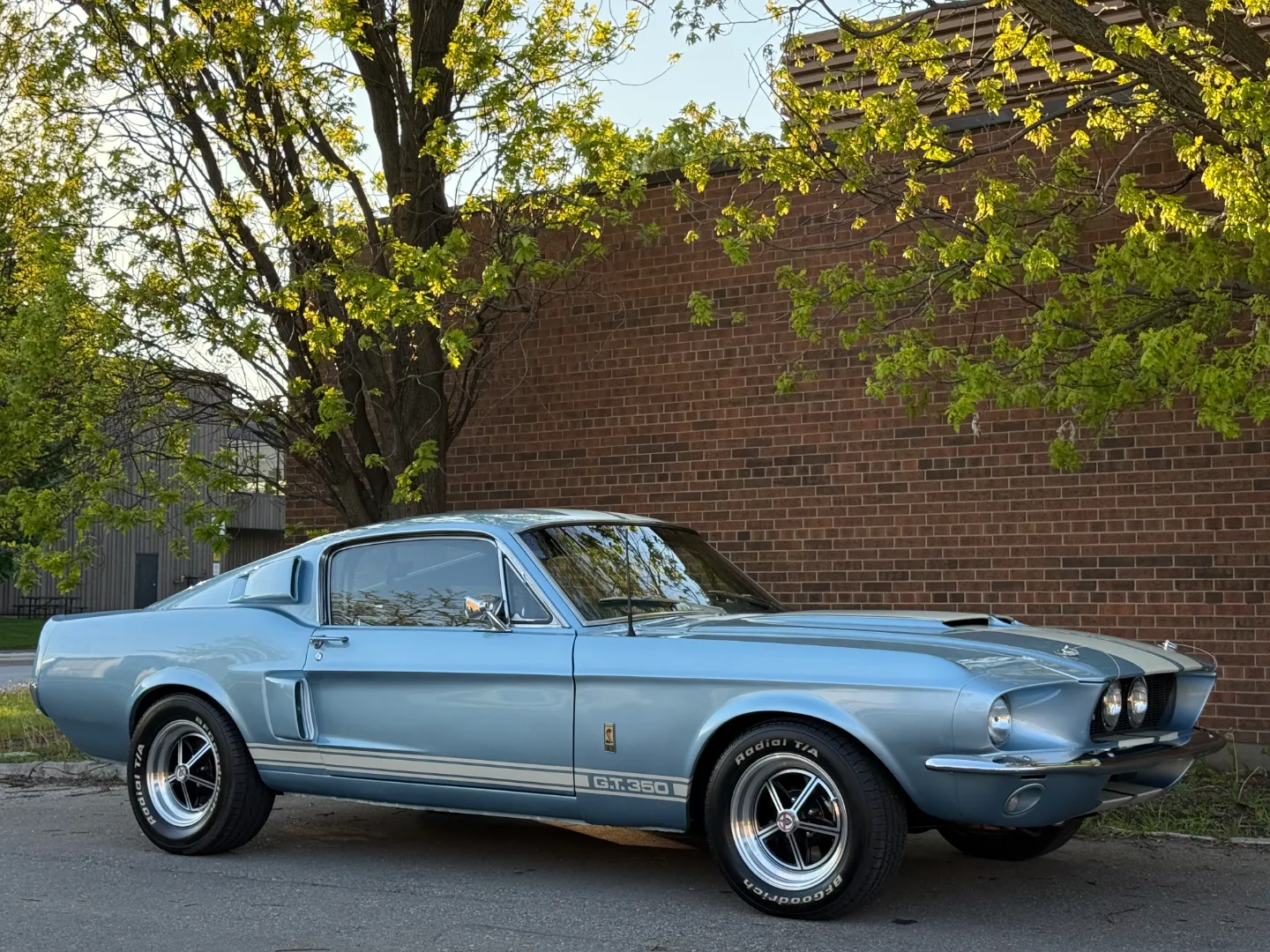 Ford Mustang Shelby GT350 Fastback 5 Speed Manual — photo 85