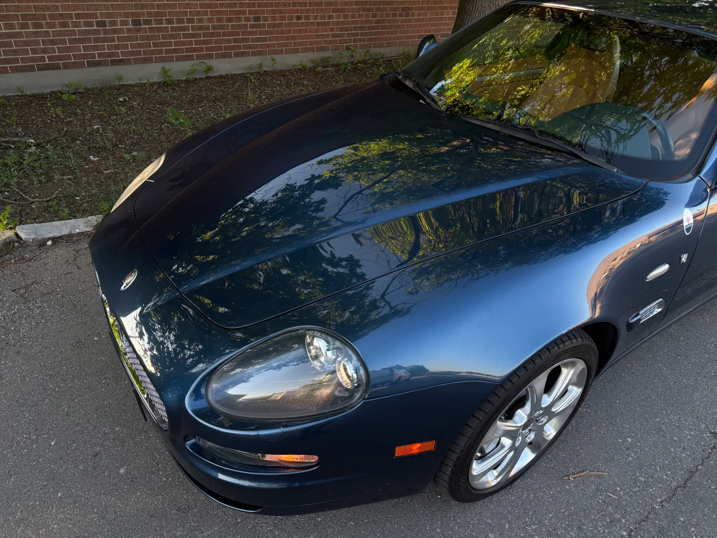 Maserati Cambiocorsa Coupe  — photo 17