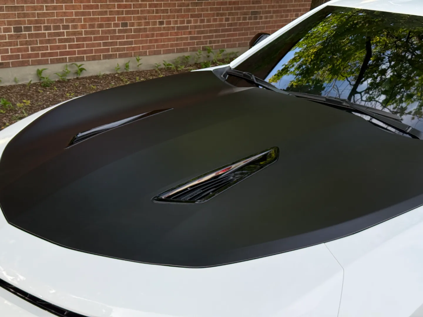 Chevrolet Camaro SS 2SS 1LE Performance Package — photo 7