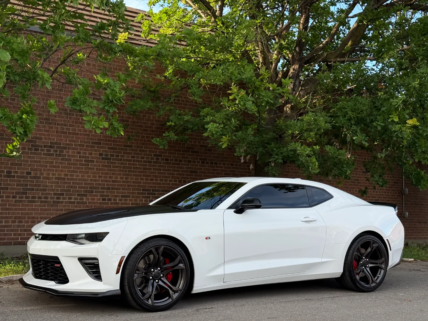 Chevrolet Camaro SS 2SS 1LE Performance Package — photo 10
