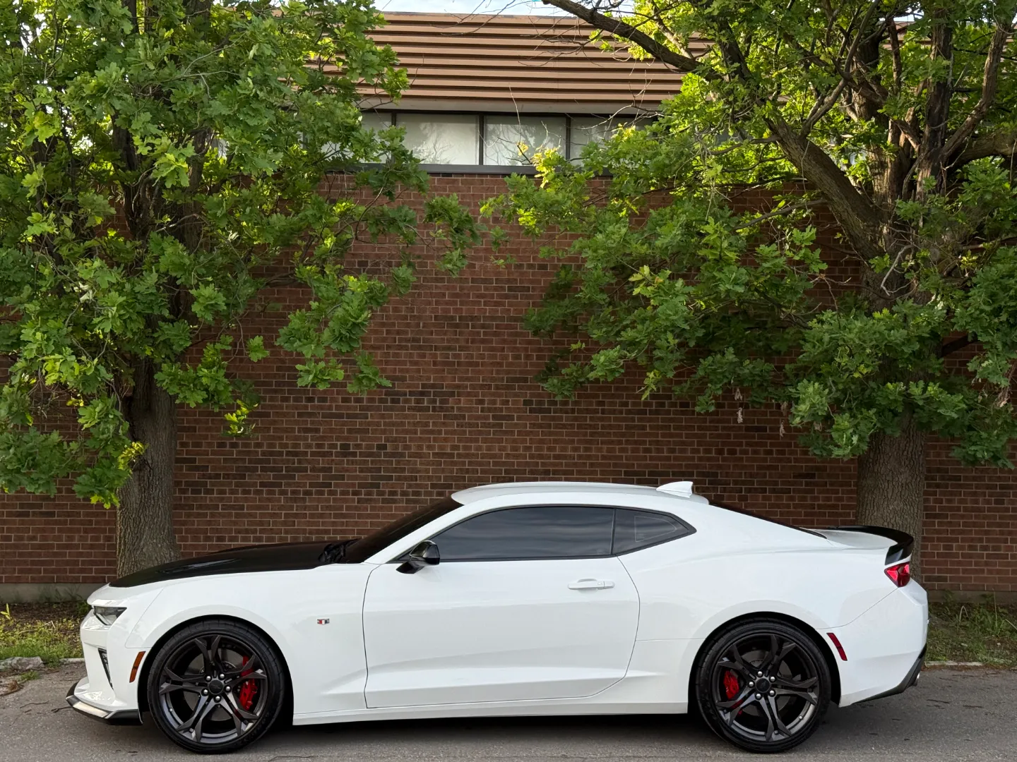 Chevrolet Camaro SS 2SS 1LE Performance Package — photo 11