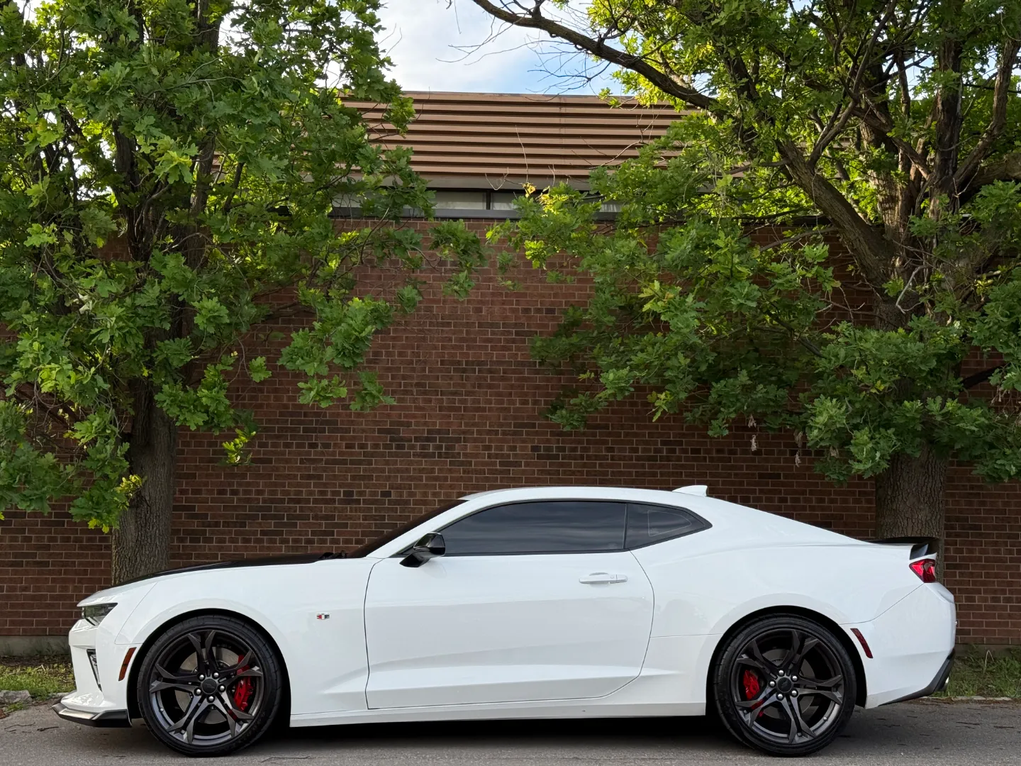 Chevrolet Camaro SS 2SS 1LE Performance Package — photo 12