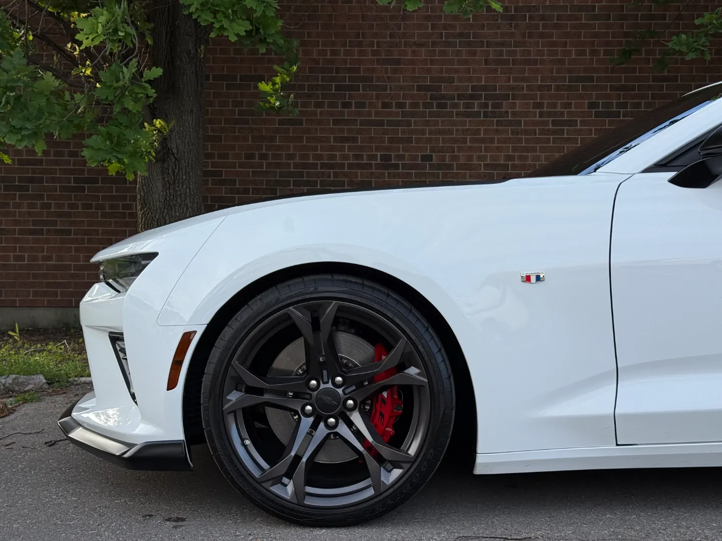 Chevrolet Camaro SS 2SS 1LE Performance Package — photo 13