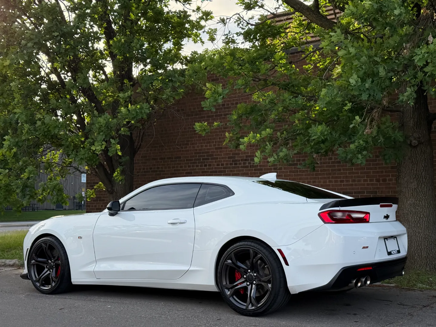 Chevrolet Camaro SS 2SS 1LE Performance Package — photo 23