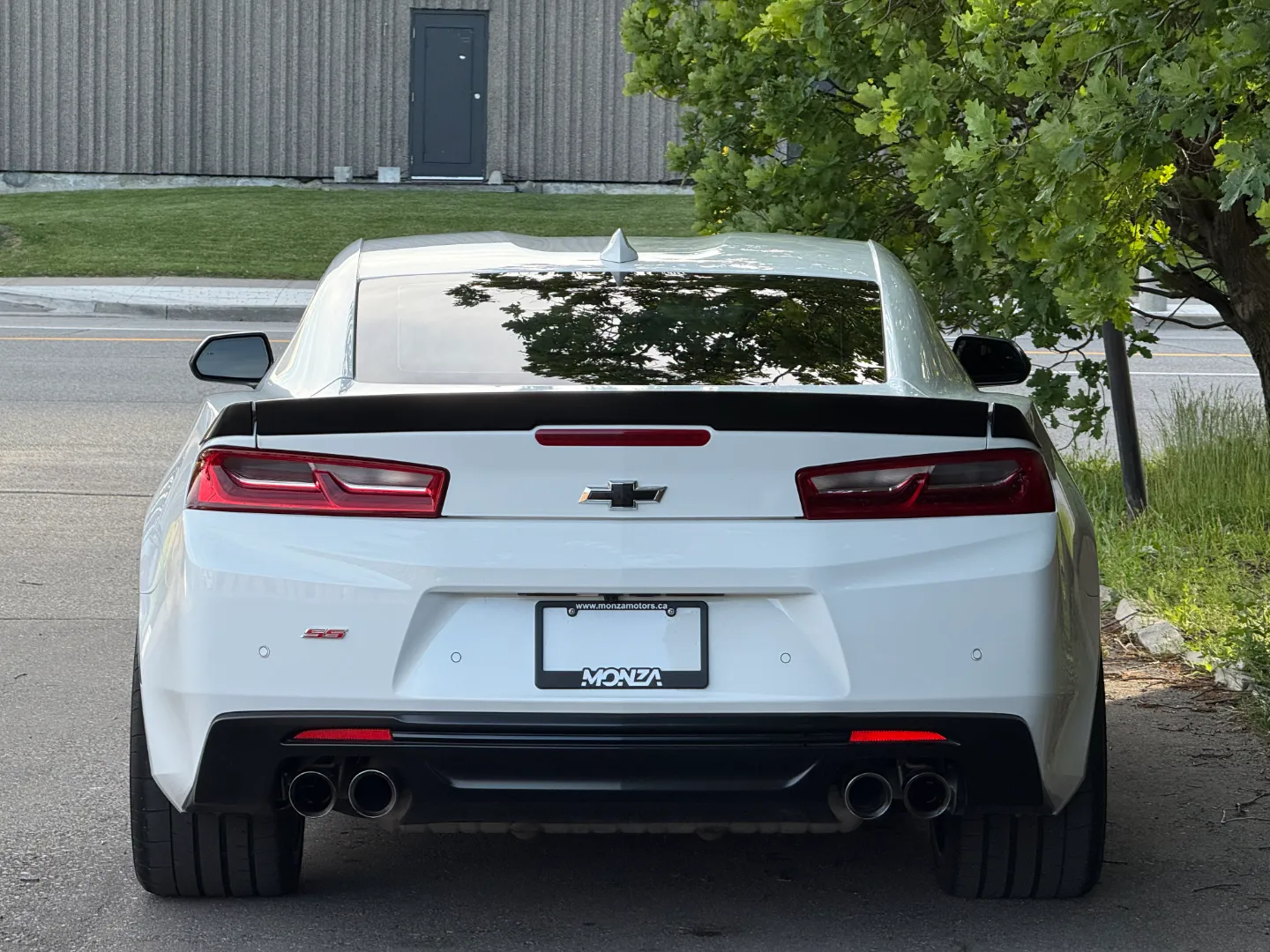 Chevrolet Camaro SS 2SS 1LE Performance Package — photo 25
