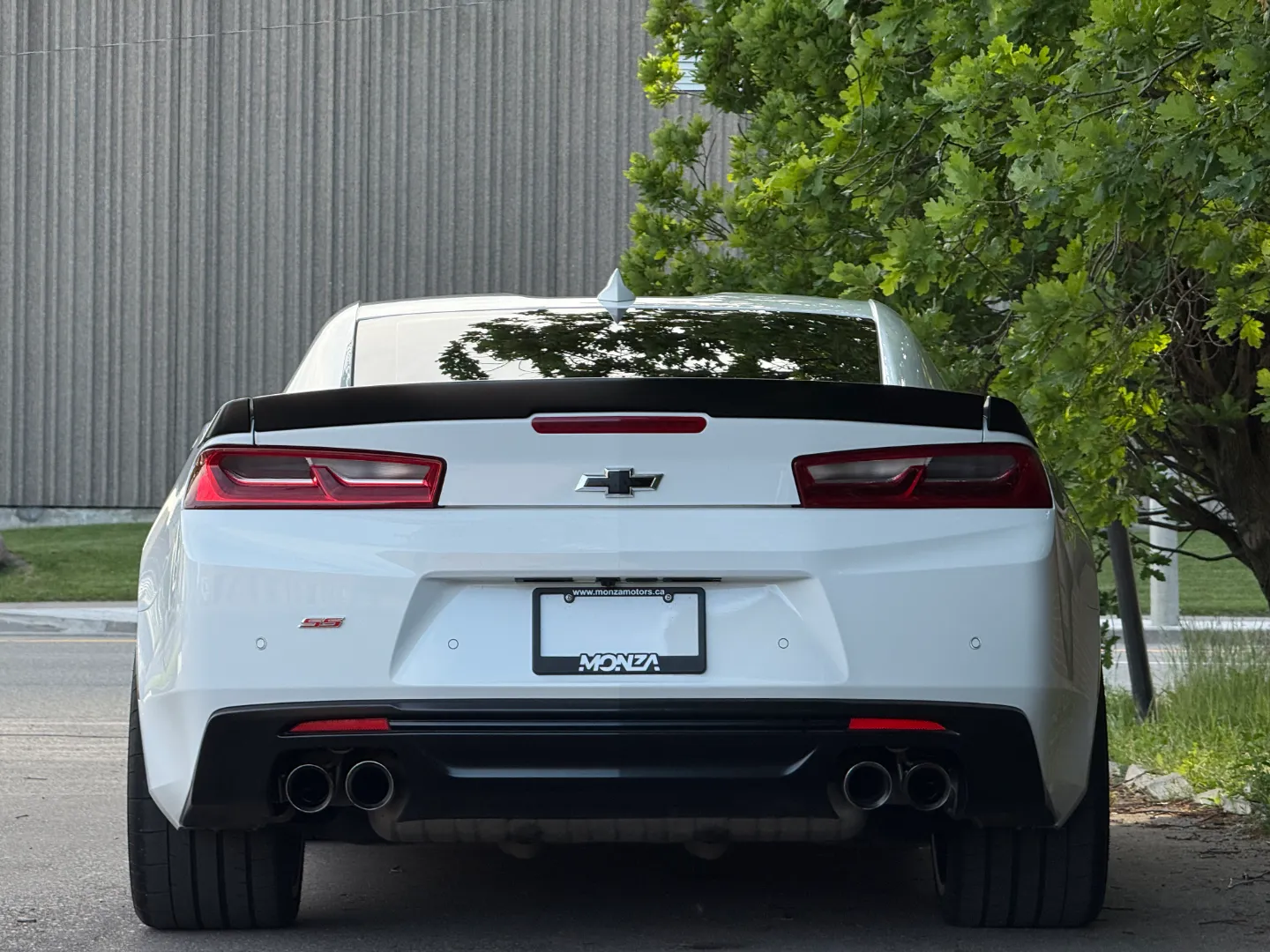 Chevrolet Camaro SS 2SS 1LE Performance Package — photo 26