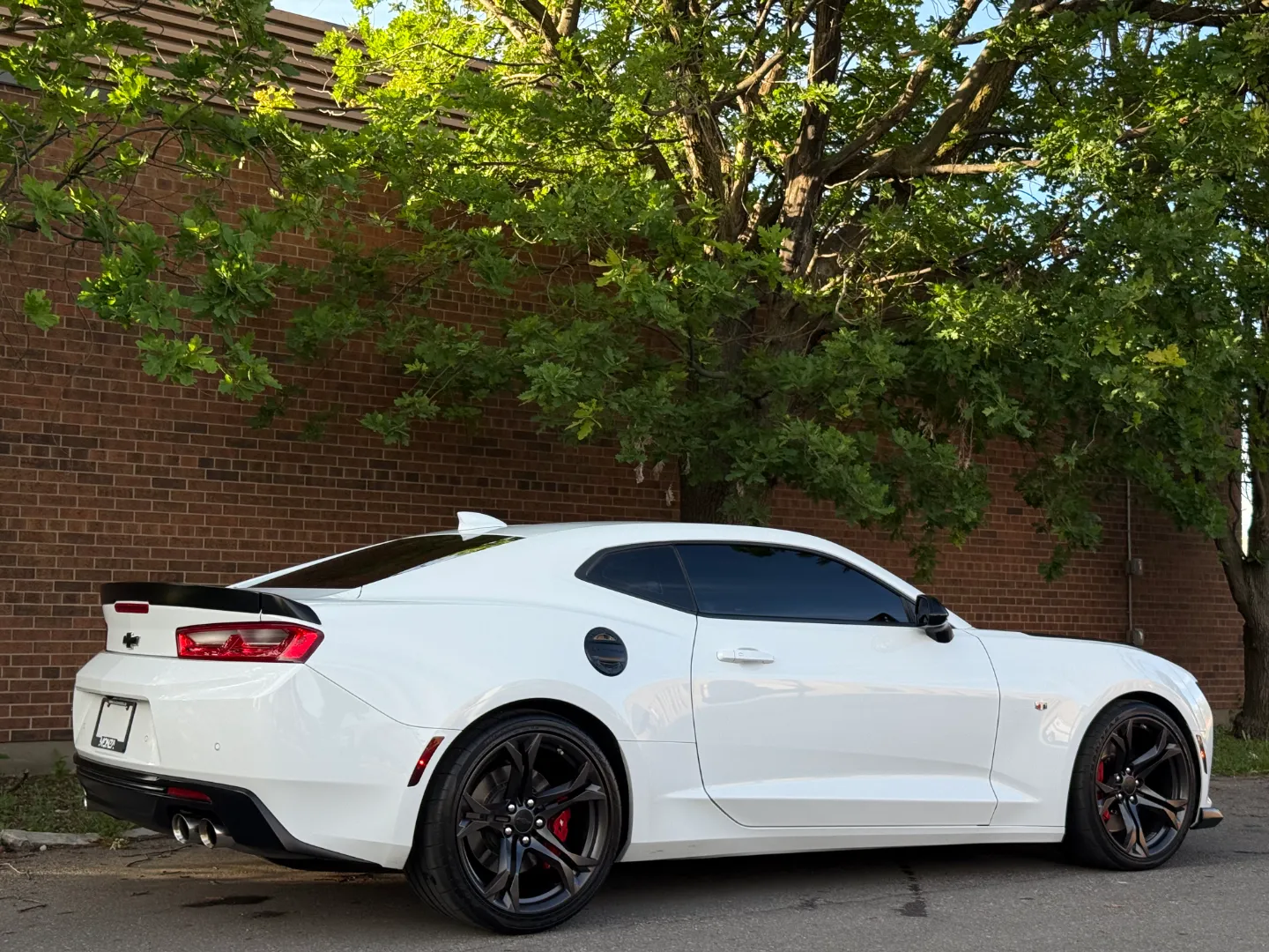 Chevrolet Camaro SS 2SS 1LE Performance Package — photo 88