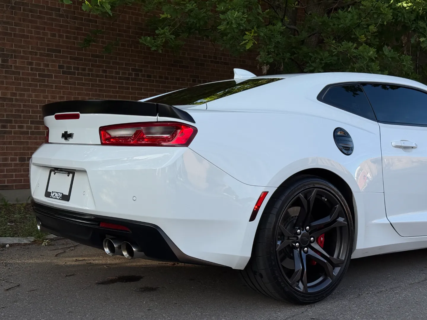 Chevrolet Camaro SS 2SS 1LE Performance Package — photo 89