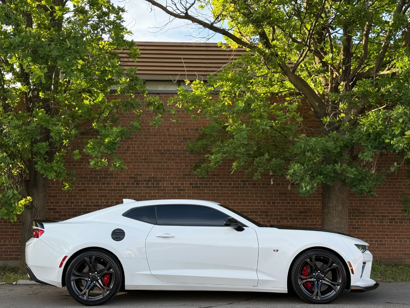 Chevrolet Camaro SS 2SS 1LE Performance Package — photo 91