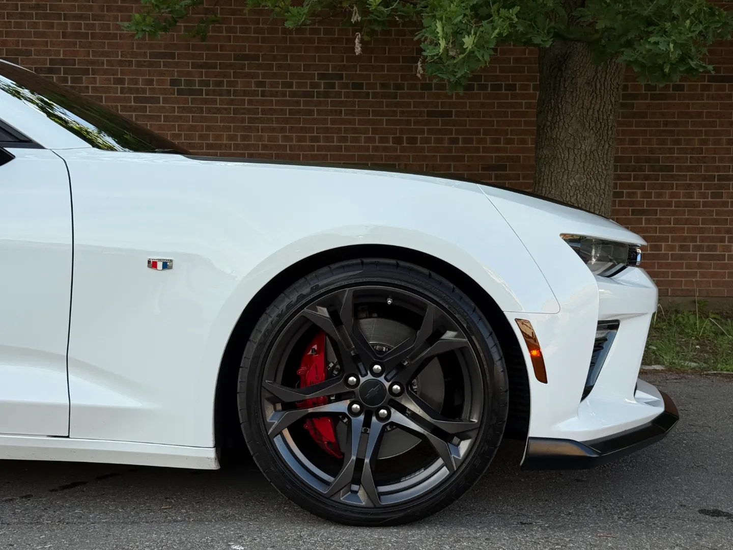 Chevrolet Camaro SS 2SS 1LE Performance Package — photo 93