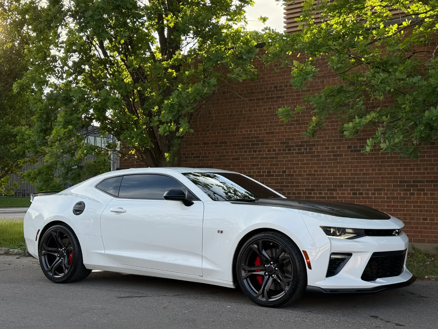 Chevrolet Camaro SS 2SS 1LE Performance Package — photo 94