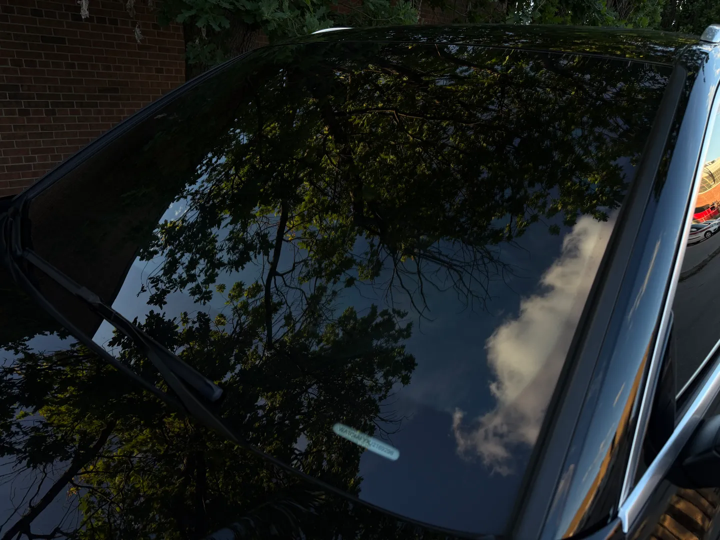 Audi SQ5 Technik Prestige  — photo 19