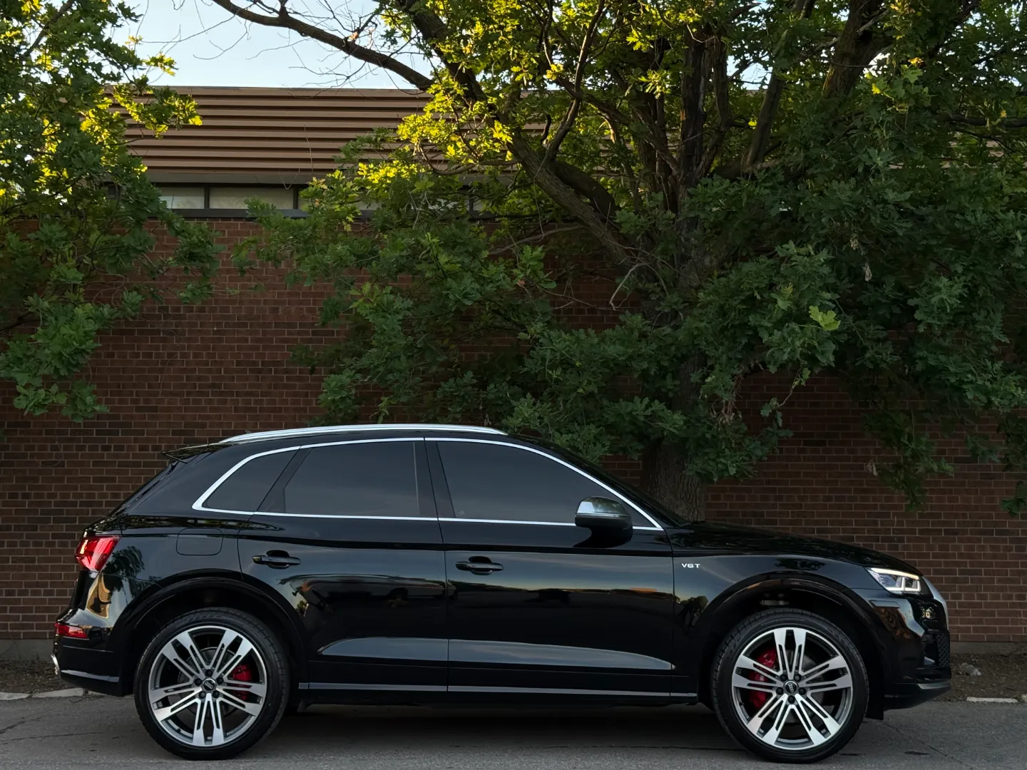 Audi SQ5 Technik Prestige  — photo 93