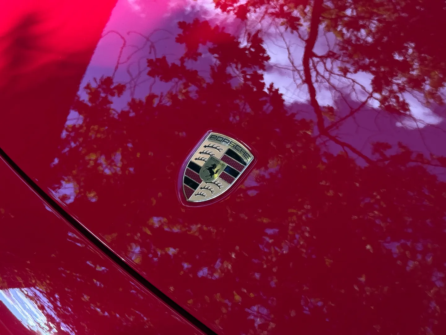 Porsche 911 Carrera 4 GTS Coupe — photo 8