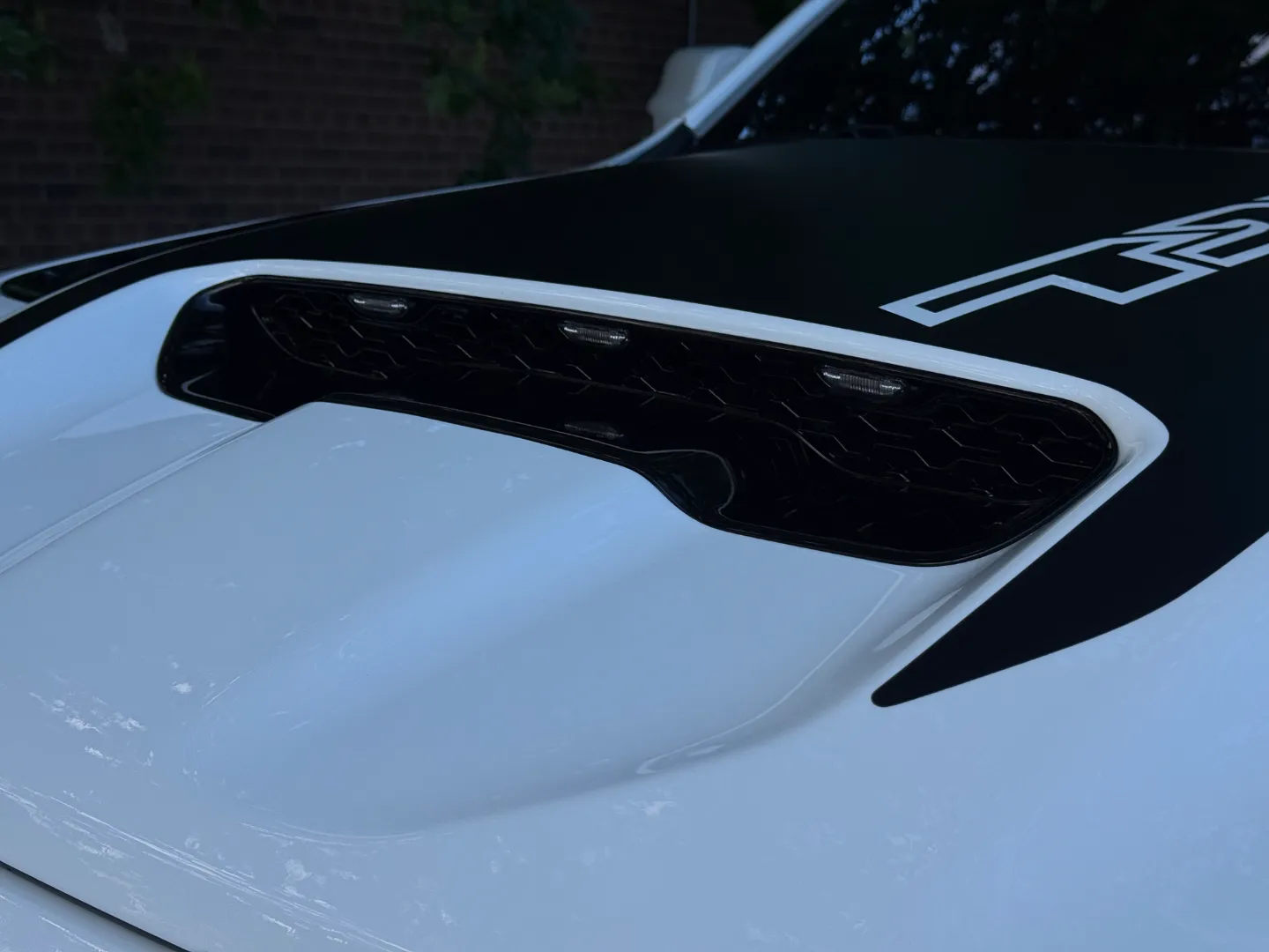 RAM 1500 TRX Custom Paint-Matched + PPF — photo 10