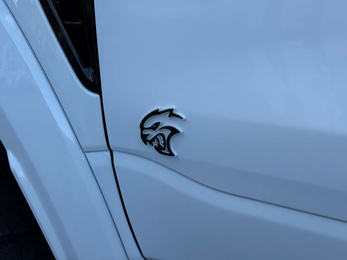 RAM 1500 TRX Custom Paint-Matched + PPF — photo 23