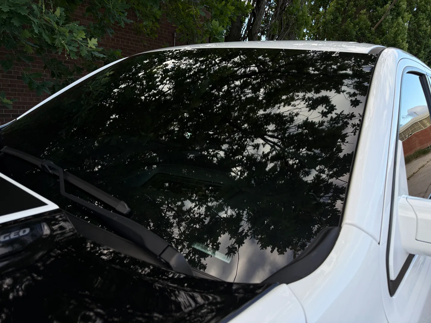 RAM 1500 TRX Custom Paint-Matched + PPF — photo 26