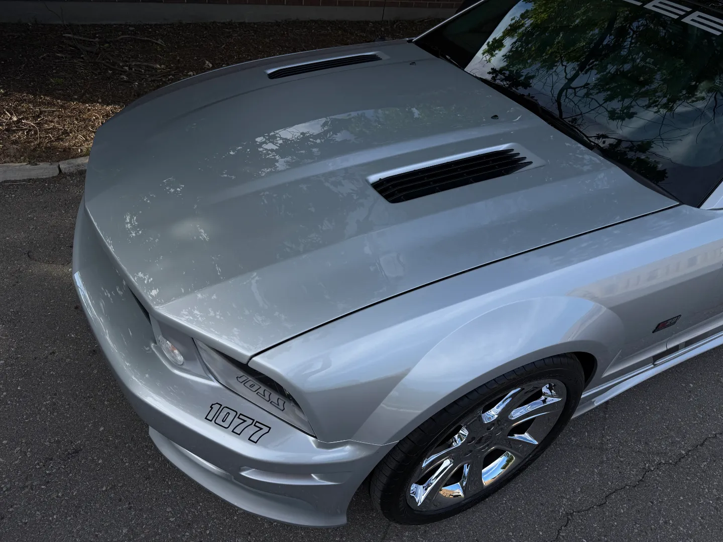 Ford Mustang Saleen S281 Scenic Roof Package Manual Coupe — photo 18
