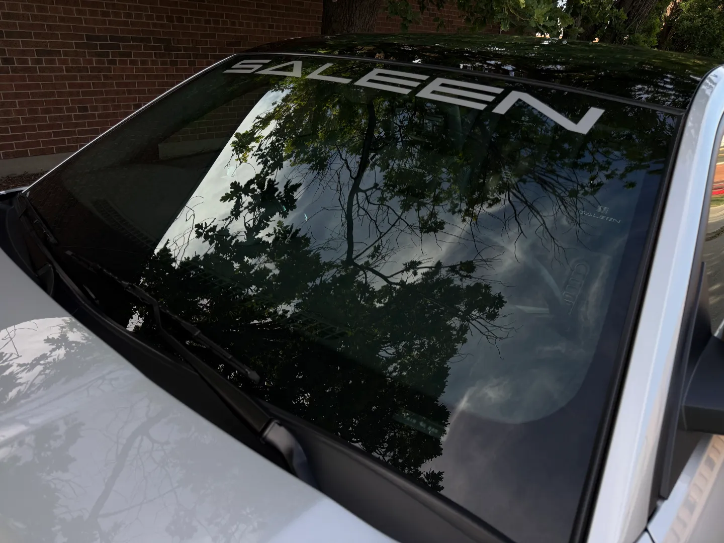 Ford Mustang Saleen S281 Scenic Roof Package Manual Coupe — photo 20