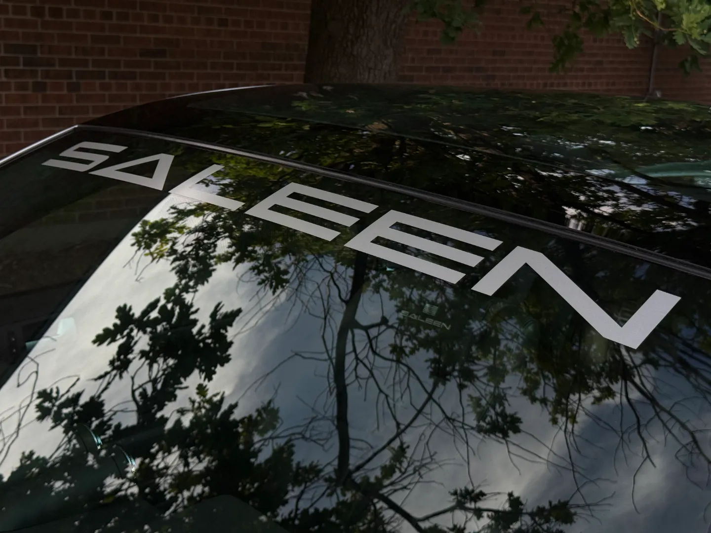 Ford Mustang Saleen S281 Scenic Roof Package Manual Coupe — photo 21