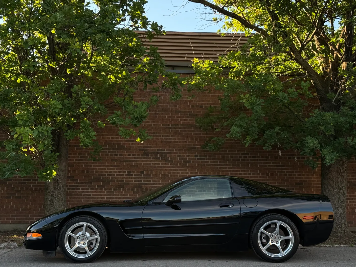 Chevrolet Corvette Coupe Targa Top Automatic — photo 12