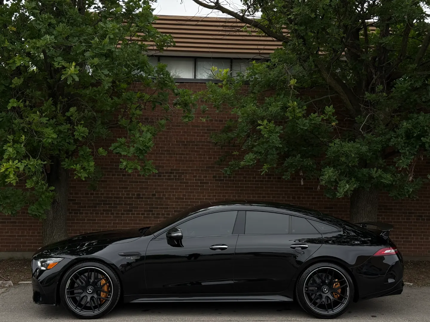 Mercedes Benz AMG GT63 S E Performance  — photo 10