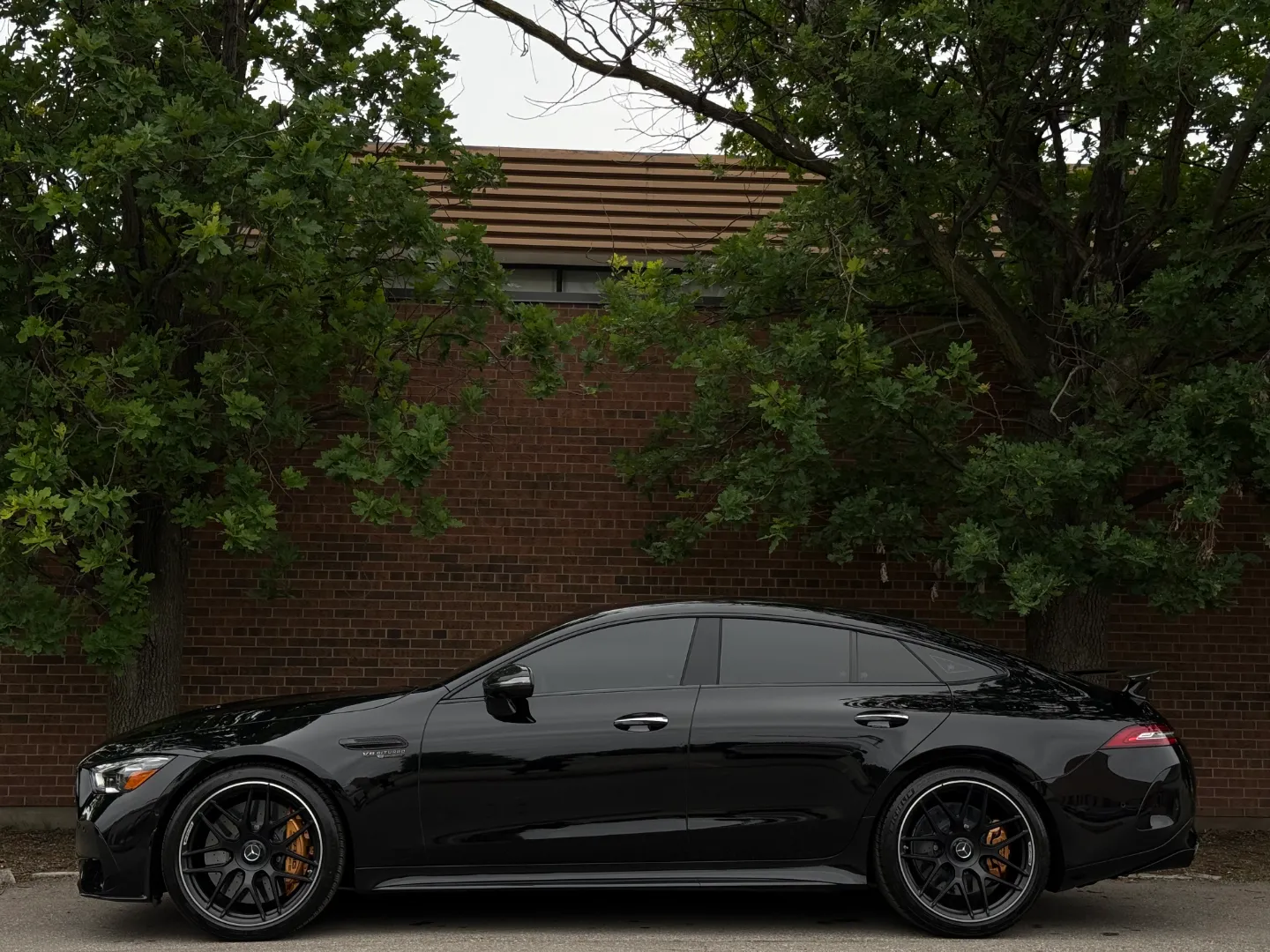 Mercedes Benz AMG GT63 S E Performance  — photo 11
