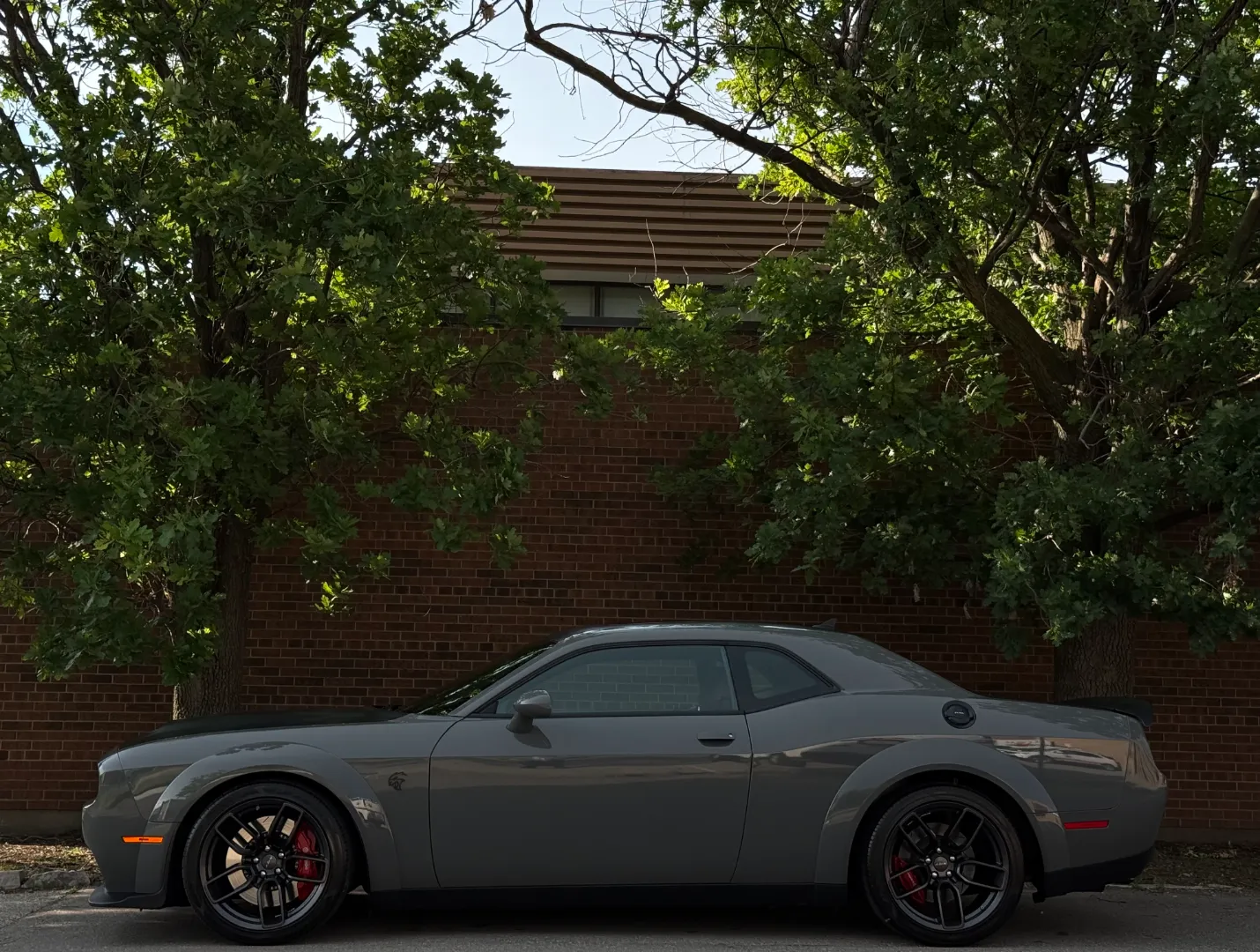 Dodge Challenger SRT Hellcat Redeye Widebody — photo 13