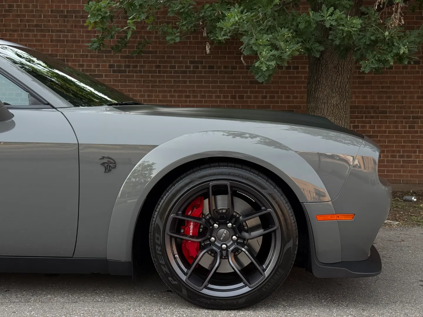 Dodge Challenger SRT Hellcat Redeye Widebody — photo 95