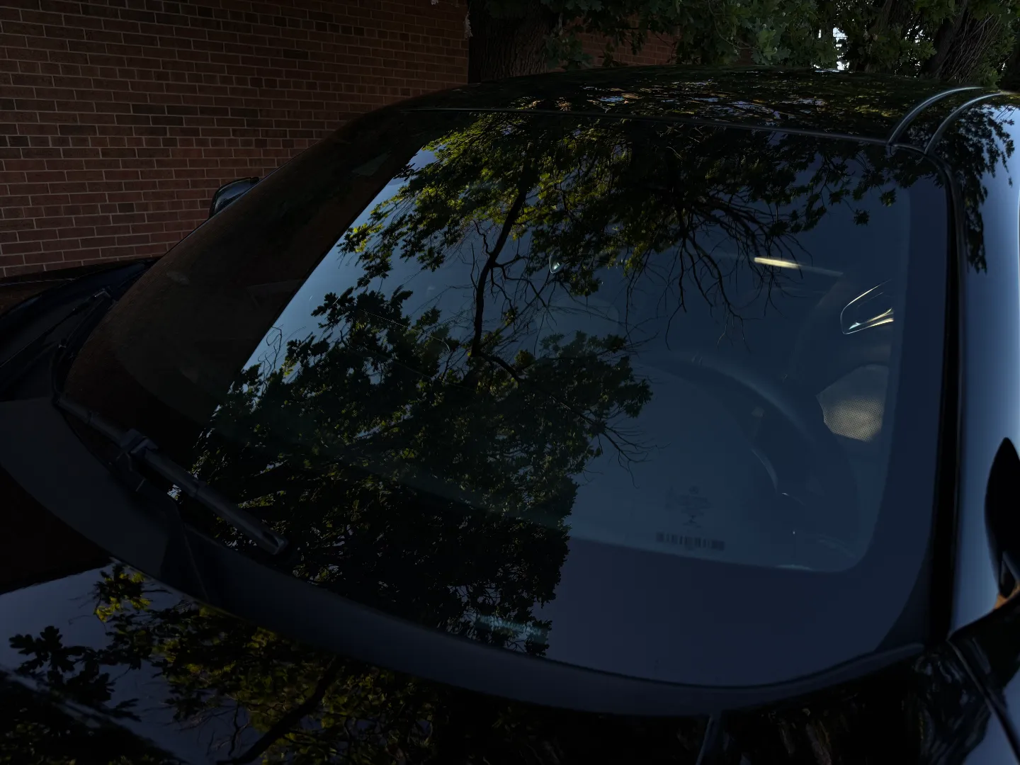 Mercedes Benz AMG GTC Coupe Paint Protection Film — photo 21