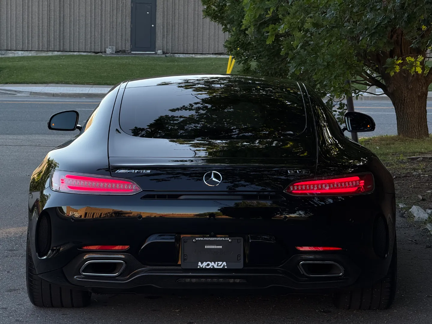 Mercedes Benz AMG GTC Coupe Paint Protection Film — photo 28