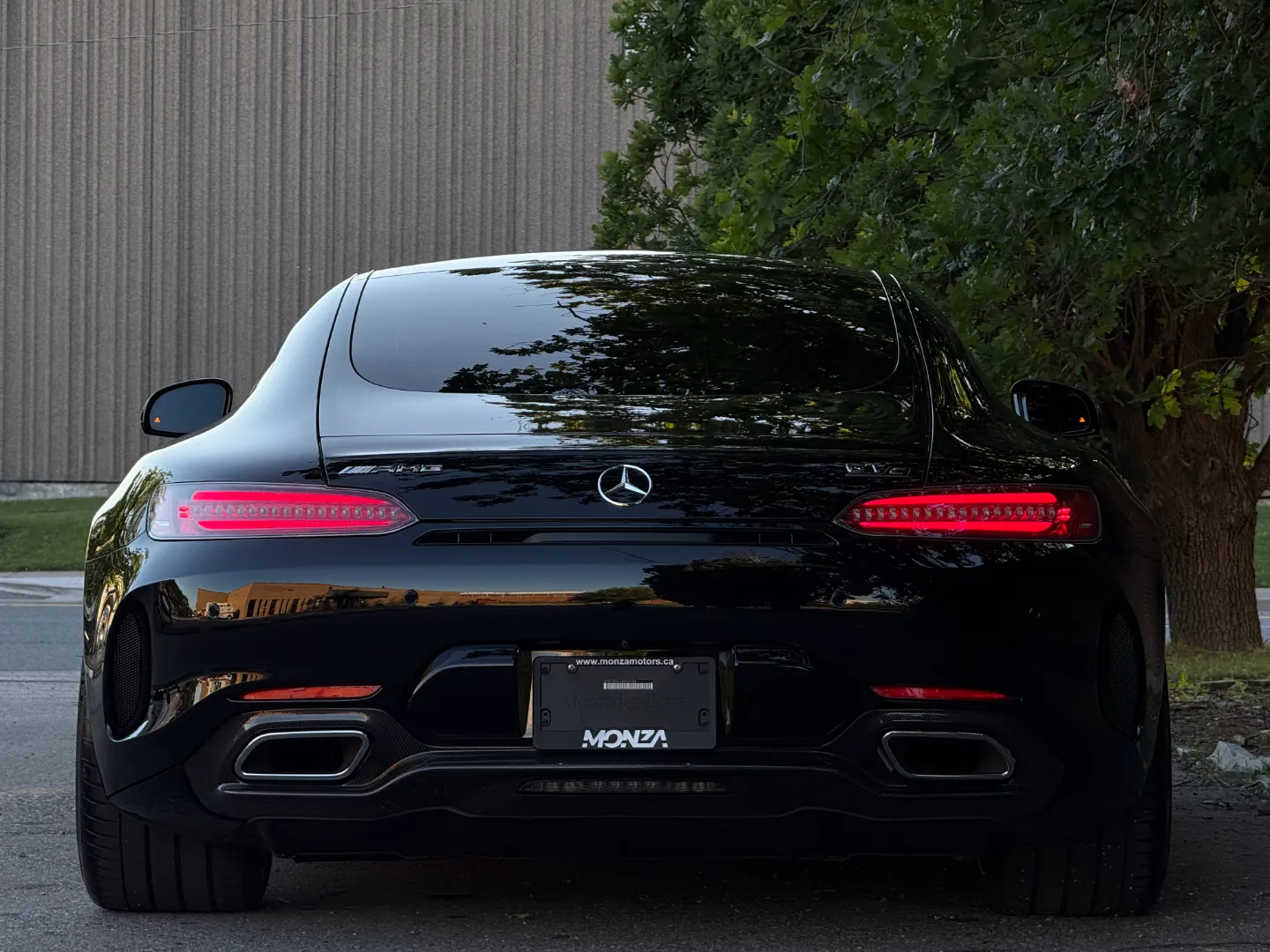 Mercedes Benz AMG GTC Coupe Paint Protection Film — photo 29