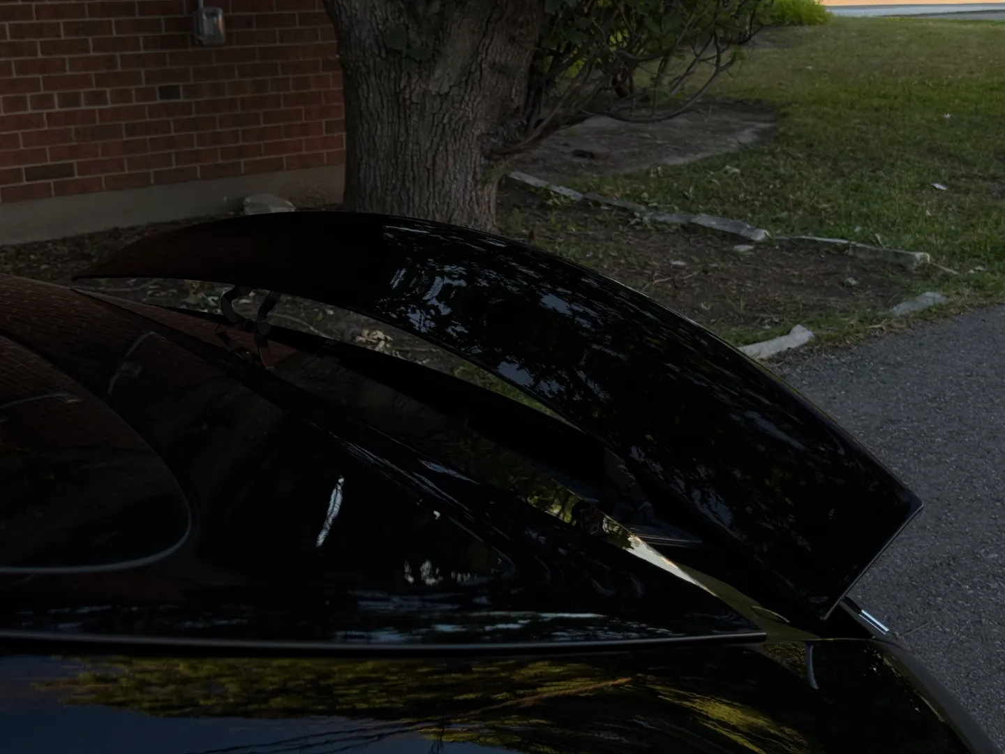 Mercedes Benz AMG GTC Coupe Paint Protection Film — photo 35