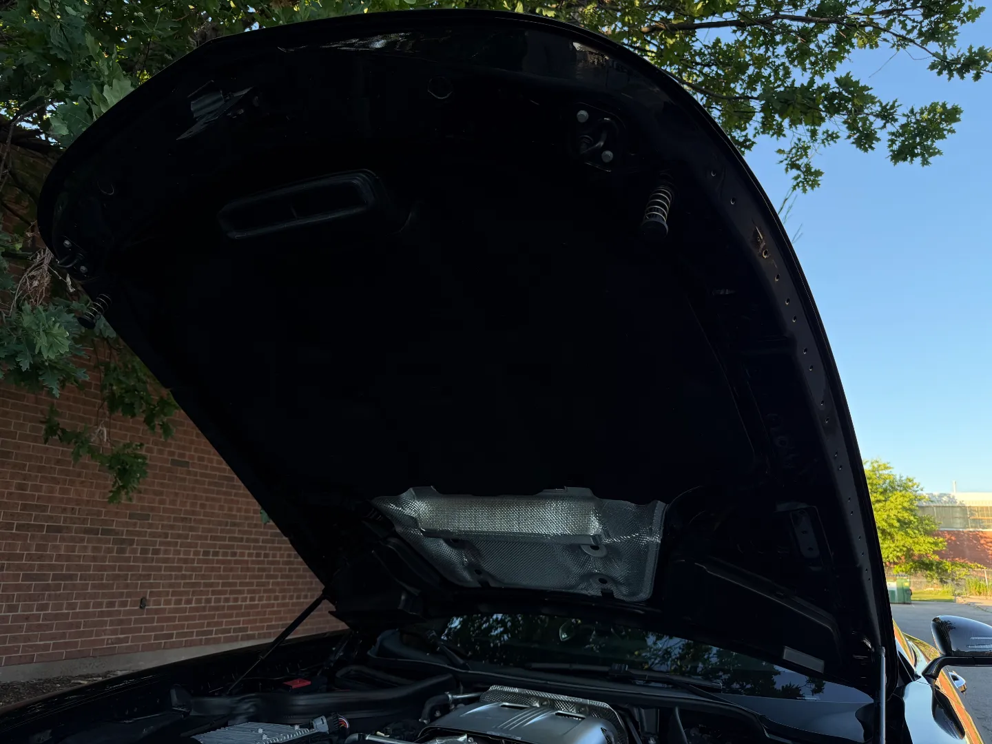 Mercedes Benz AMG GTC Coupe Paint Protection Film — photo 44