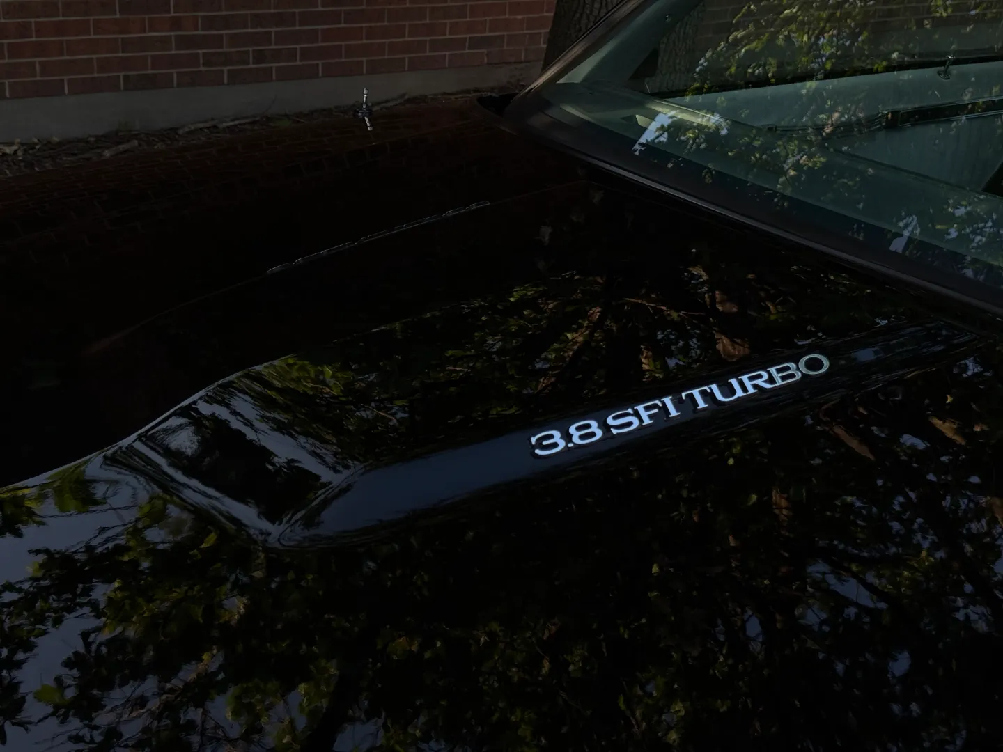 Buick Grand National T-Top — photo 7