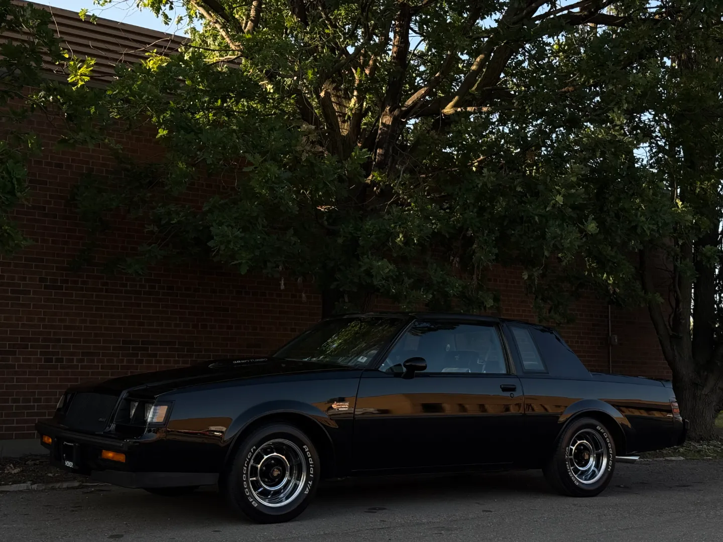 Buick Grand National T-Top — photo 10