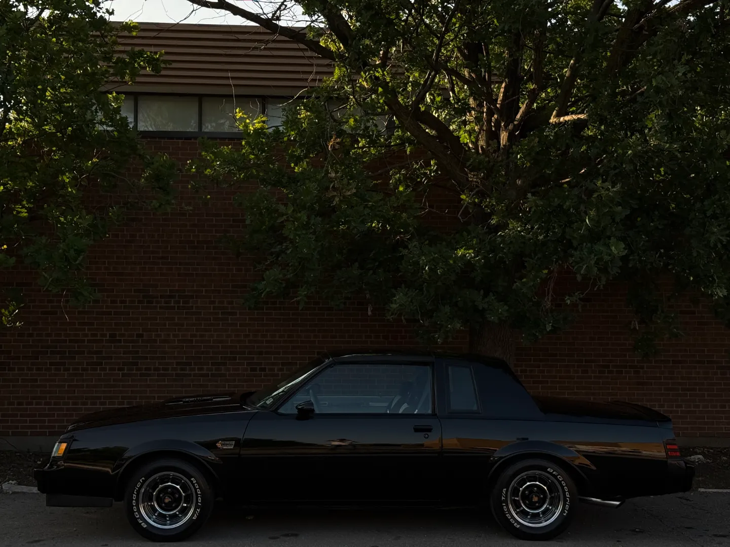 Buick Grand National T-Top — photo 11