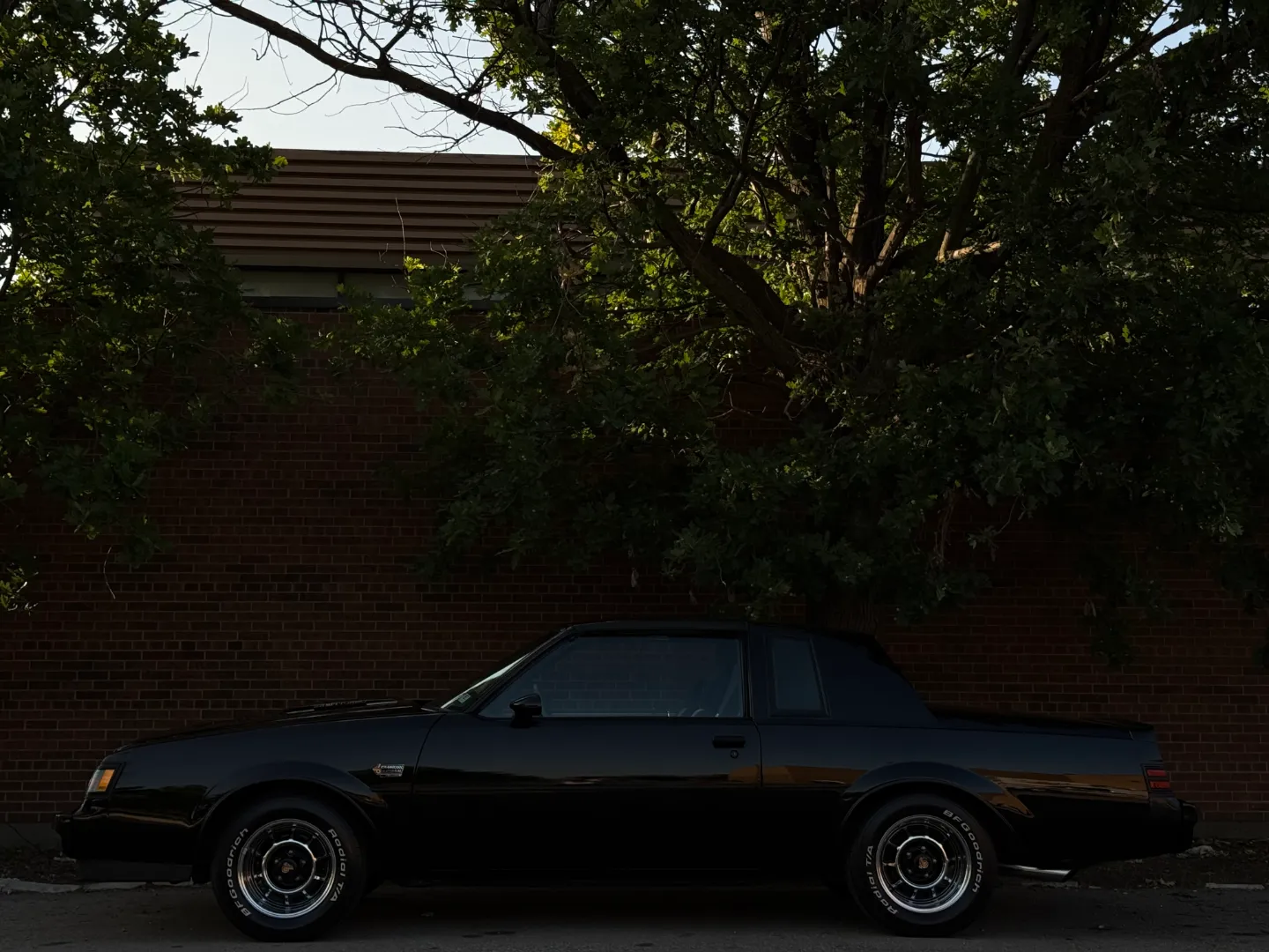 Buick Grand National T-Top — photo 12