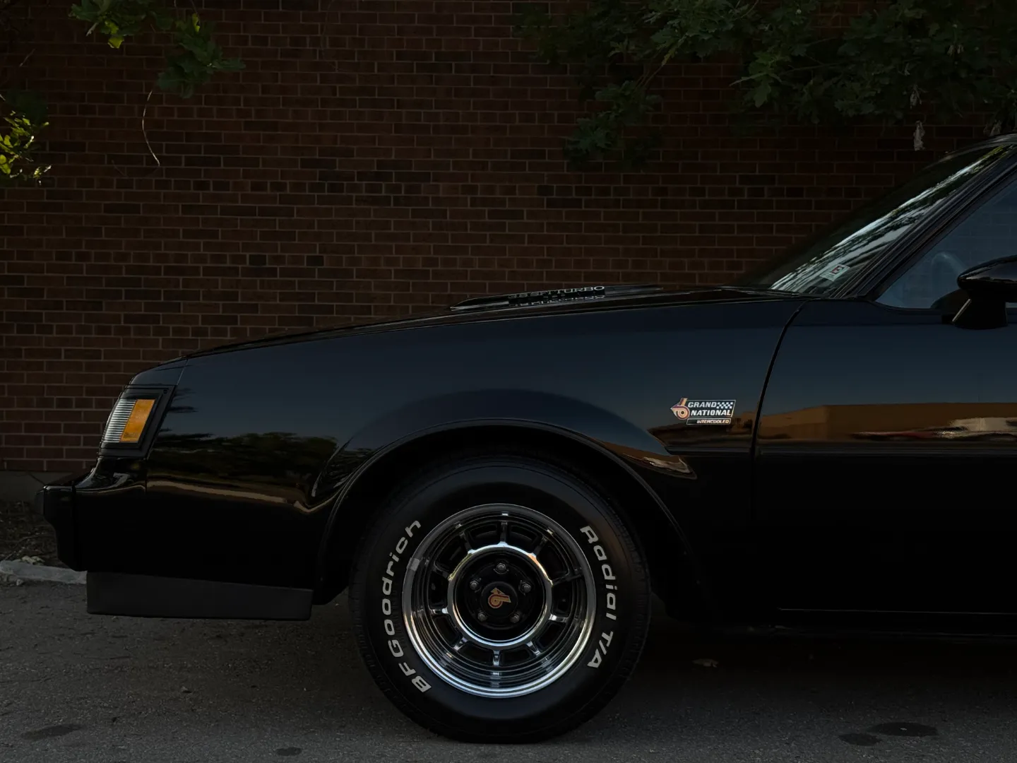 Buick Grand National T-Top — photo 13