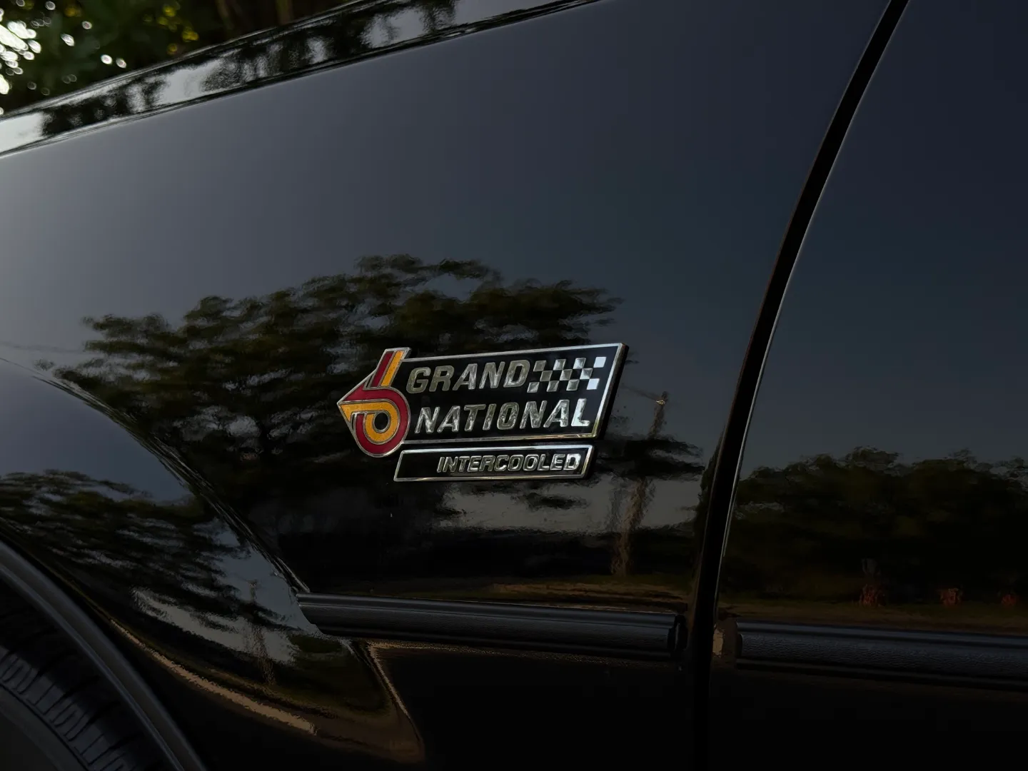 Buick Grand National T-Top — photo 18