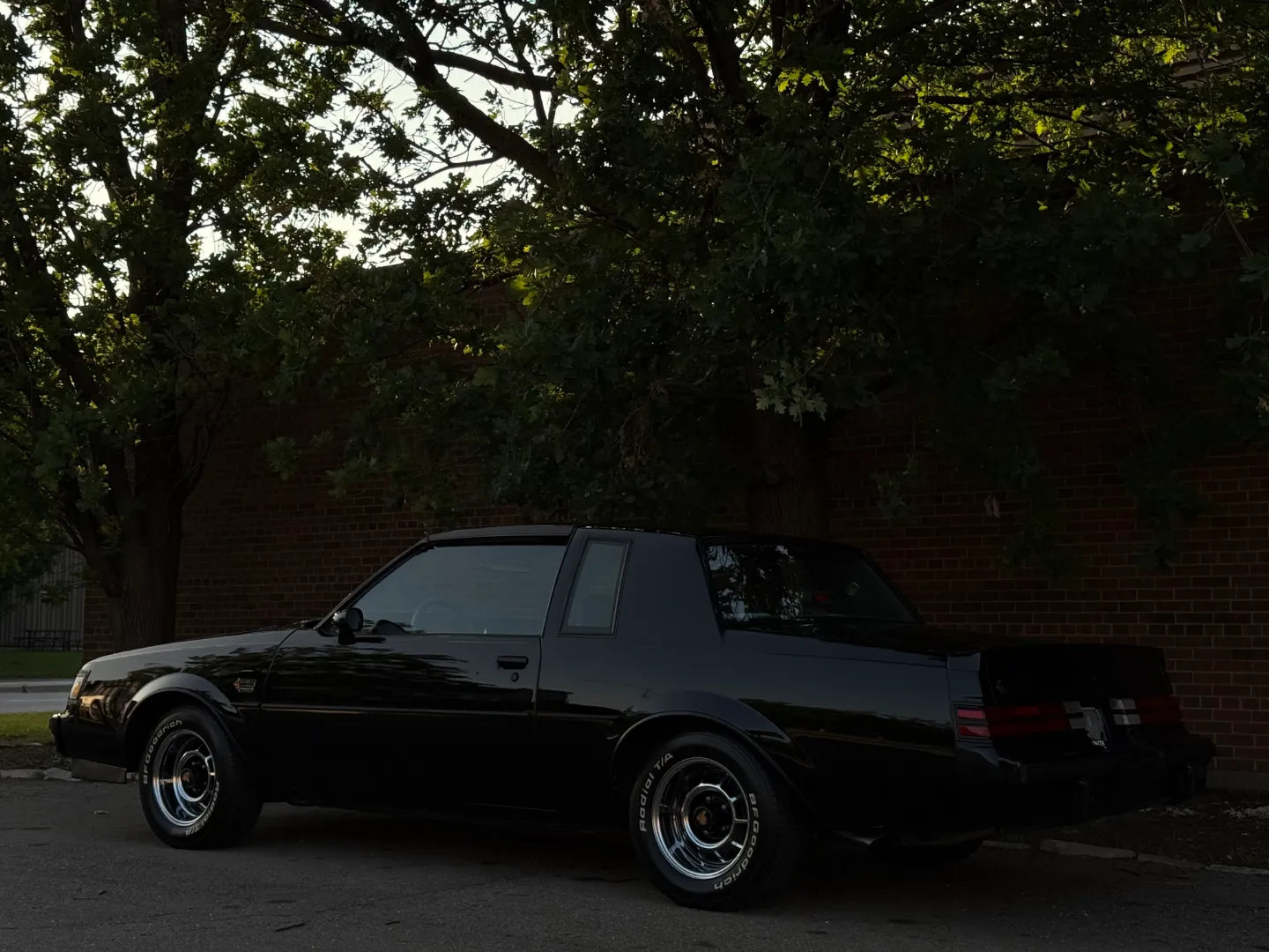 Buick Grand National T-Top — photo 25