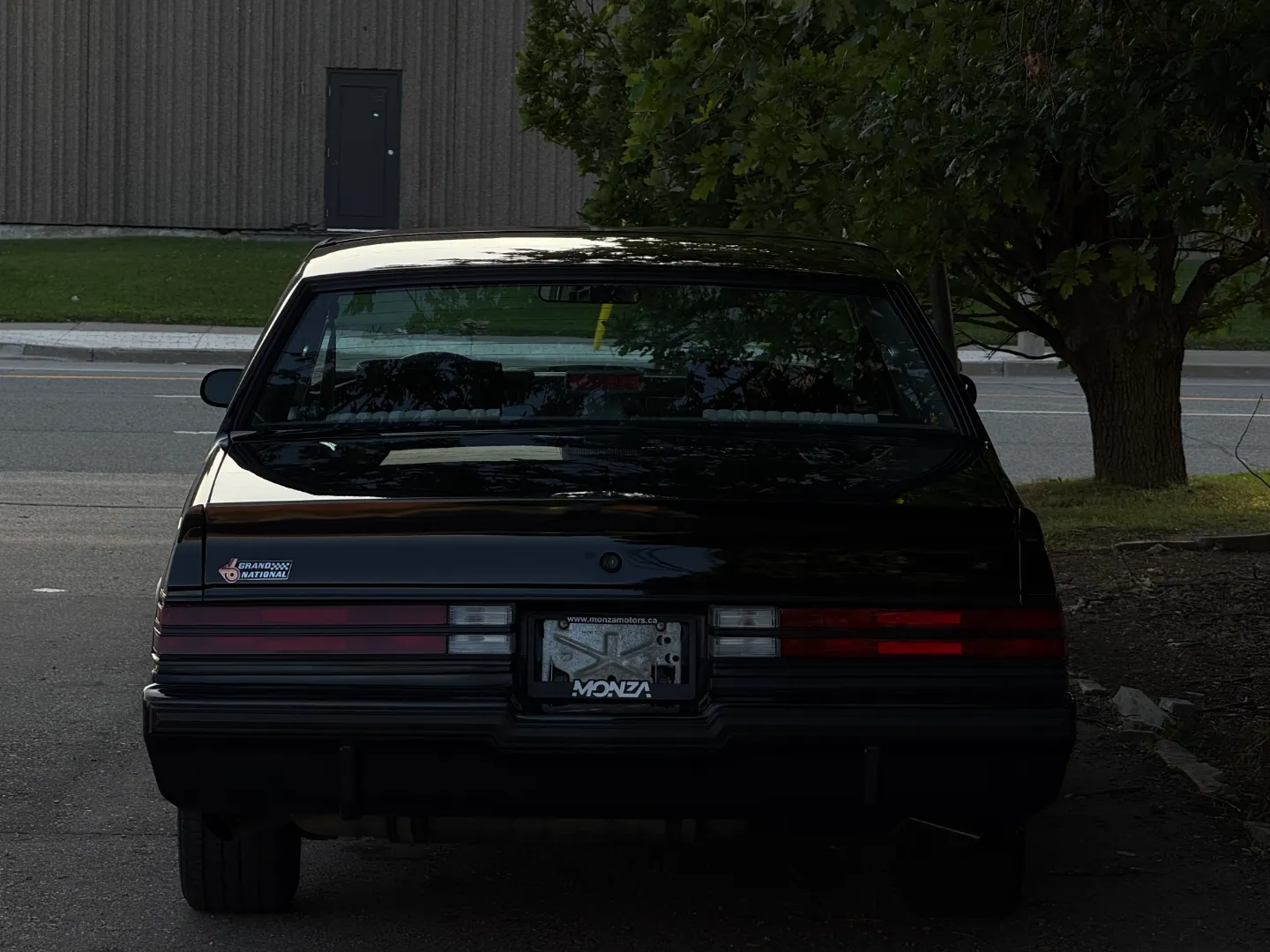 Buick Grand National T-Top — photo 27