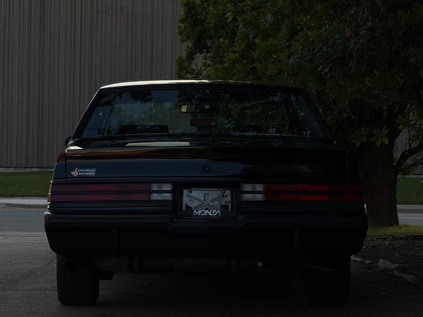 Buick Grand National T-Top — photo 28