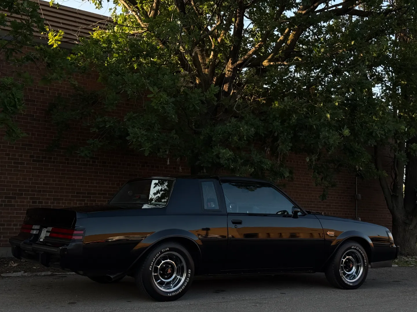 Buick Grand National T-Top — photo 79