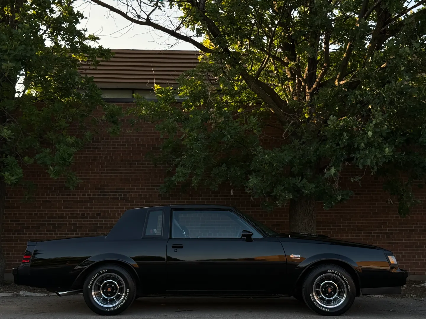 Buick Grand National T-Top — photo 81