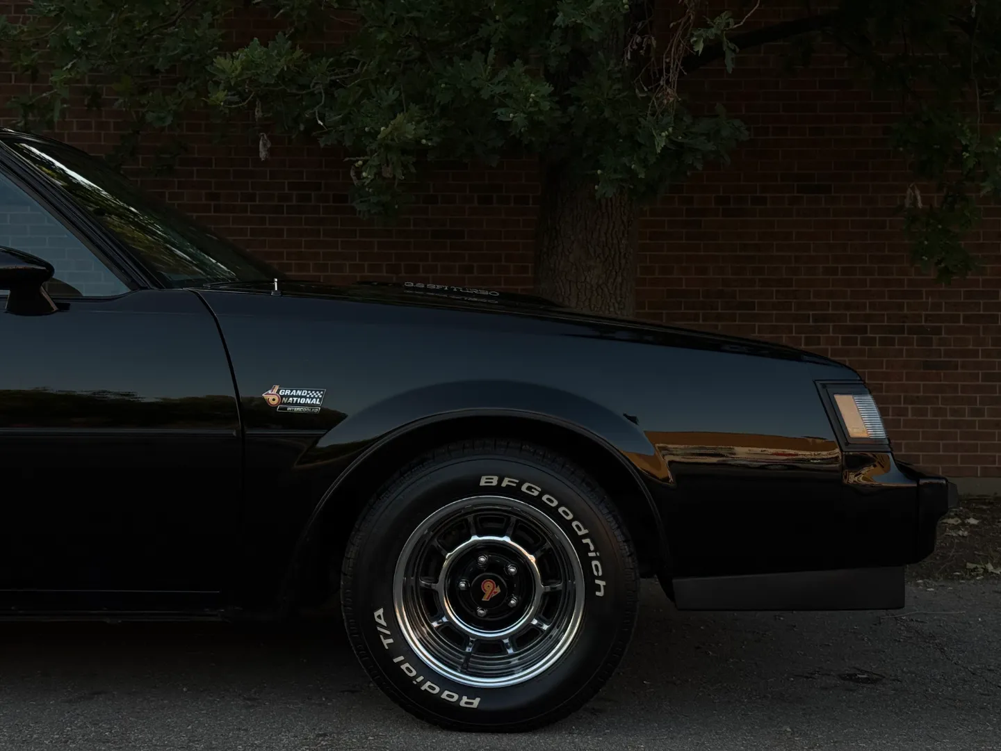Buick Grand National T-Top — photo 82