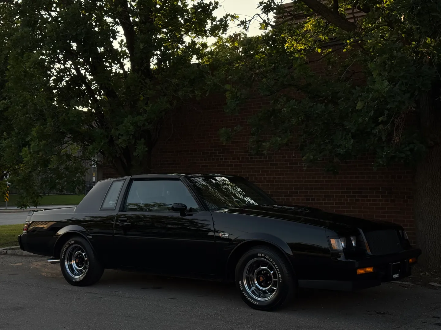 Buick Grand National T-Top — photo 84