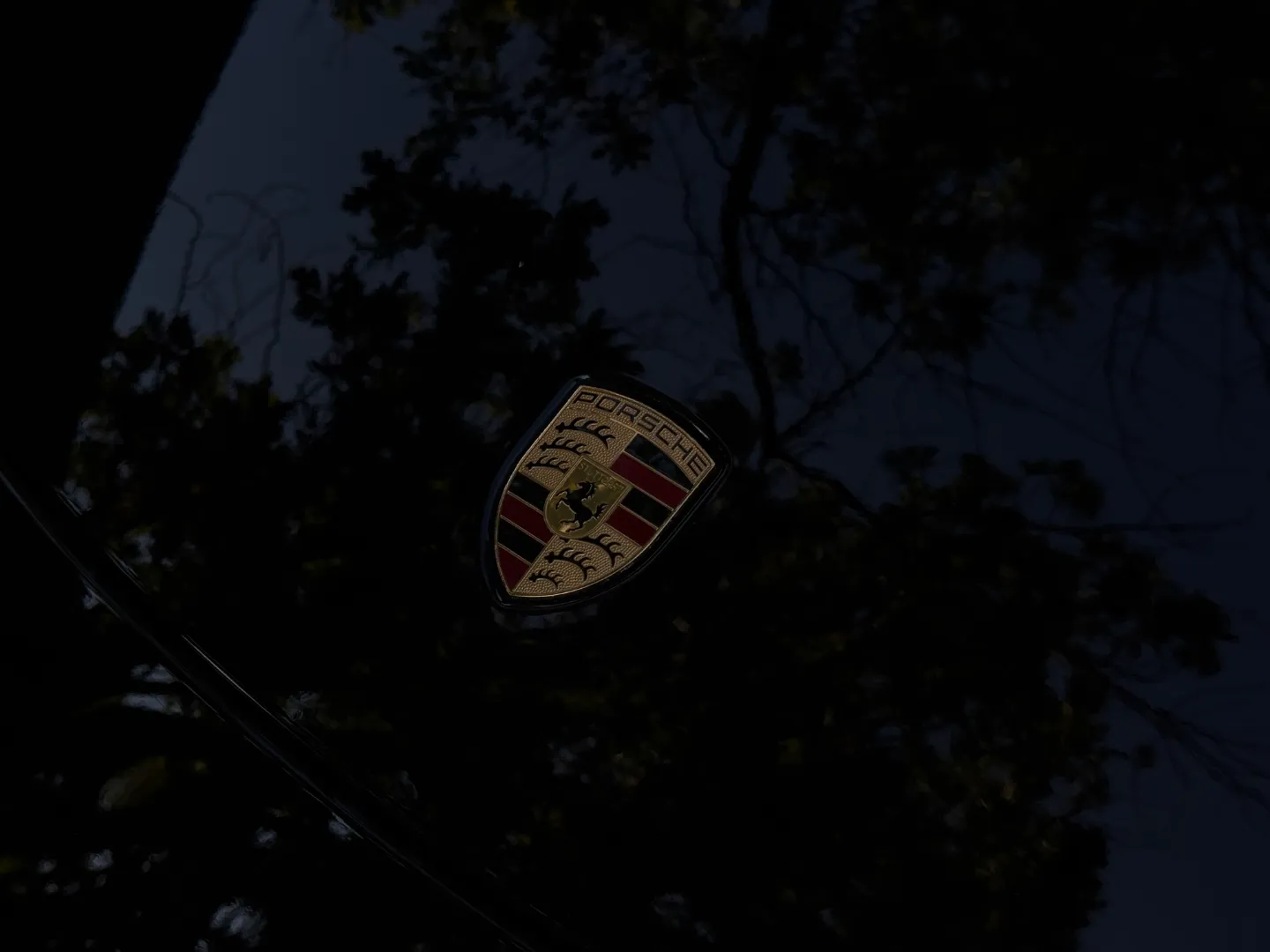 Porsche 911 Turbo S Coupe Paint Protection Film — photo 8