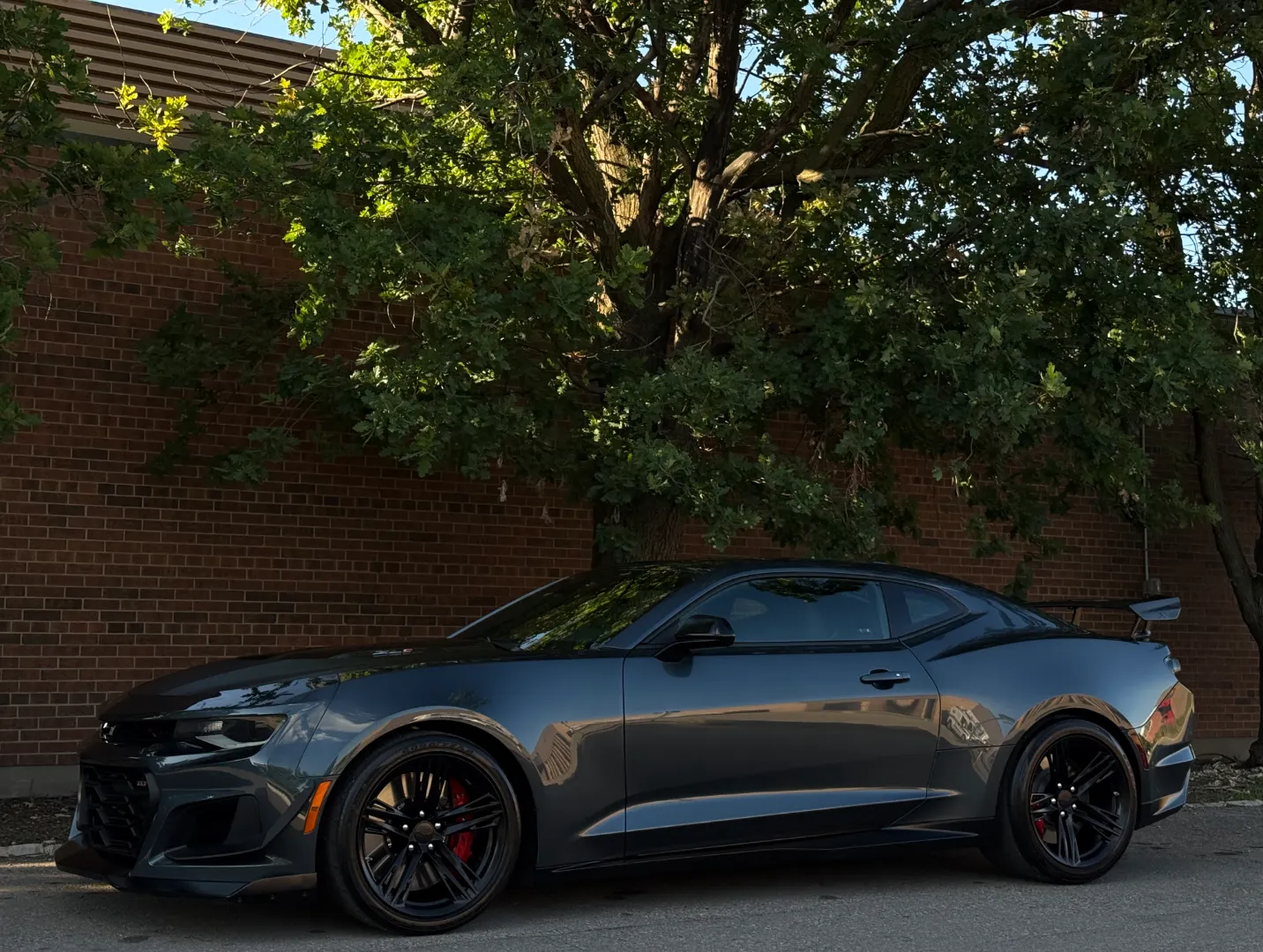 Chevrolet Camaro ZL1 1LE 6 Speed Manual  — photo 11