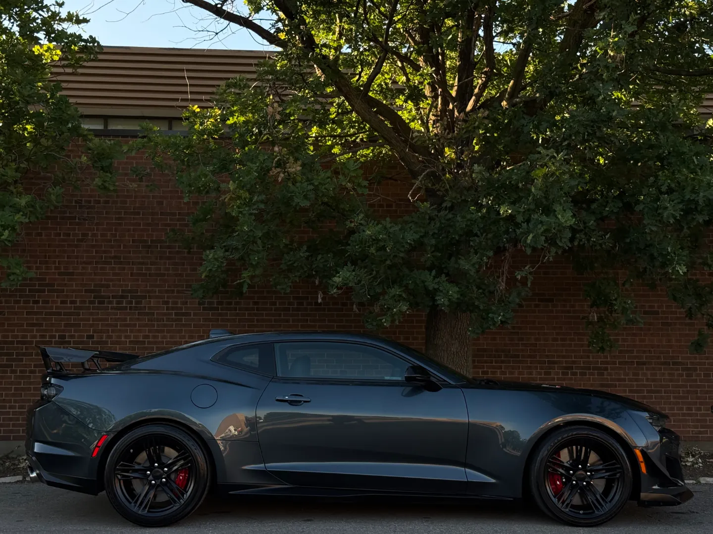 Chevrolet Camaro ZL1 1LE 6 Speed Manual  — photo 94